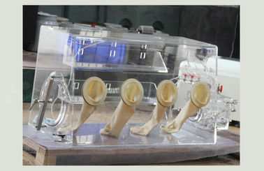 Célula de la moneda que hace la caja de guantes del vacío sin la purificación agua-aire del oxígeno
